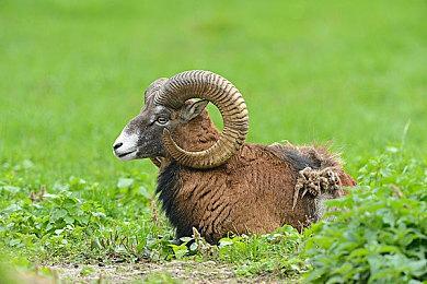 Steam国产“开放阴间”生存游戏《炭熄》，今日正式发售！